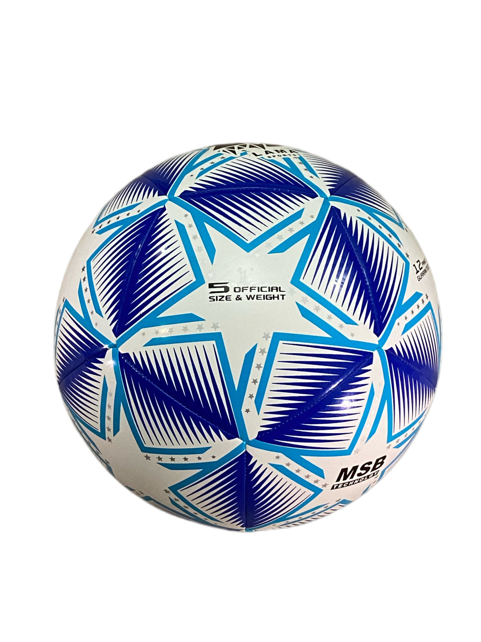 TPU Training Soccerball Blue - Image 3