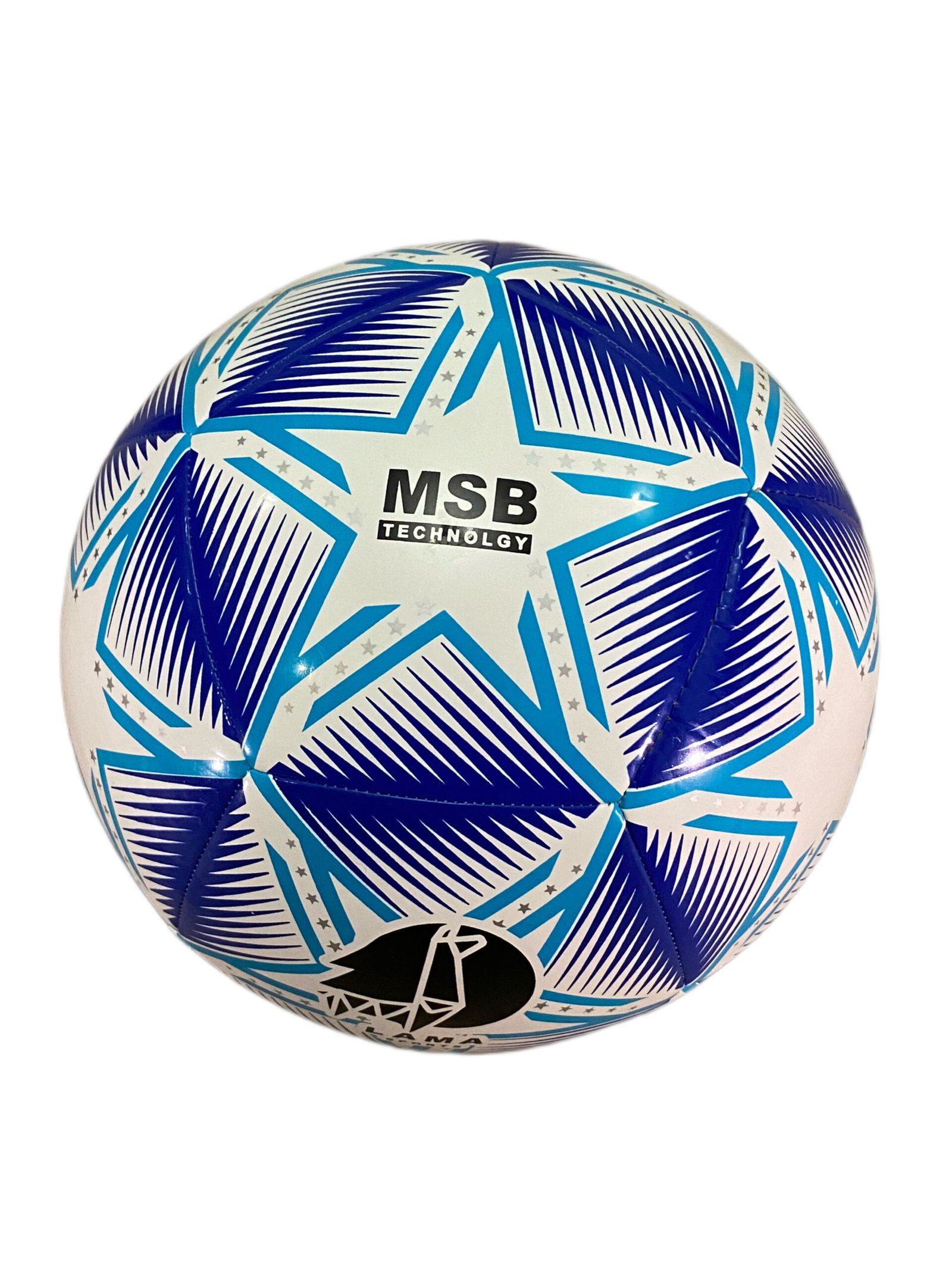 TPU Training Soccerball Blue - Image 4