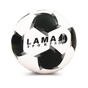 Handstitched Soccerball BW