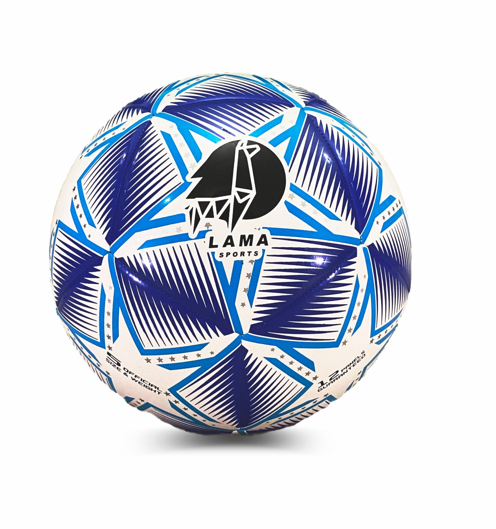 TPU Training Soccerball Blue